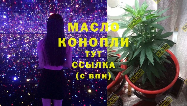 сатива Семилуки