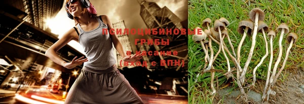 трава Богданович