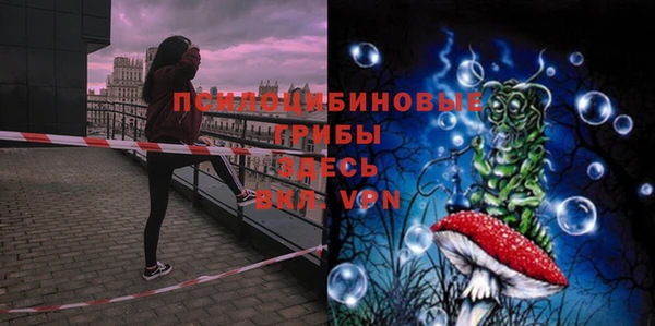 таблы Богородск