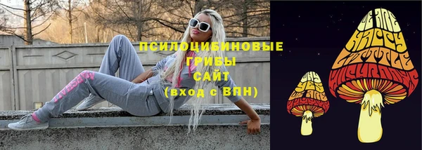 прущая мука Богородицк