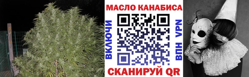 Купить где  Пудож  ТГК вейп 