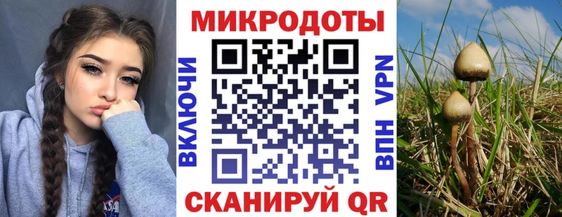 Галлюциногенные грибы Cubensis  Купить закладки  Пудож 