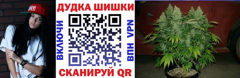 Купить где  Пудож  Шишки марихуана гибрид 